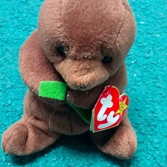 Seaweed the otter   - Picture 1 of 1
